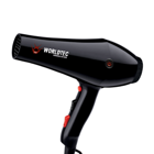 Worldtec WT-3500 İyonlu 2200 W Standart Saç Kurutma Makinesi Siyah