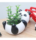 Florada Sevimli Panda Figürlü Sukulent Saksı