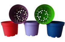 Tuğel Plastik Flowers 20 Adet Plastik Üretim Saksısı