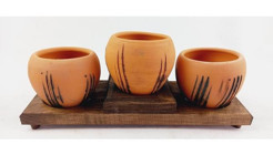 Bitki Tasarımı Terracota Model 3 Adet Saksı