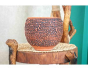 Bitkitasarimi Püskürtme Model Terracota Toprak Saksı
