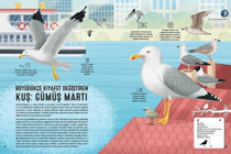 Kuş Atlası Emrah Çoraman Taze Kitap
