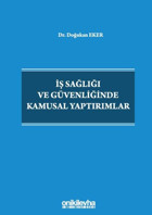 İş Sağlığı ve Güvenliğinde Kamusal Yaptırımlar Doğukan Eker On İki Levha Yayıncılık