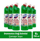 Domestos Maksimum Hijyen Dağ Esintisi Konsantre Çamaşır Suyu 4.86 lt