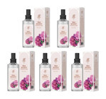 Rebul Zambak Sprey Cam Şişe Kolonya 5x100 ml