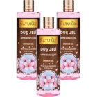 Naturix Japon Kiraz Çiçeği Duş Jeli 3x400 ml