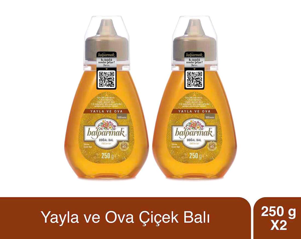 Binboğa Süzme Süzme Çiçek Balı 2x250 gr