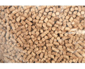 Doğsoft Kalın Taneli Pelet Kedi Kumu 25 kg