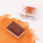 St. Petersburg 309 Tablet Sulu Boya Red Ochre