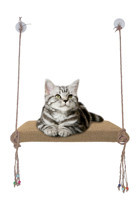 Patiderm Vantuzlu 35x50 cm Cama Yapışan Kedi Yatağı Bej