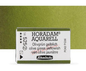 Schmincke Horadam Aquarell Tam Tablet Olive Green Yellow Sulu Boya