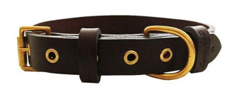 CecePet Tengri Ayarlanabilir Köpek Tasması 46 - 55 cm Kahverengi