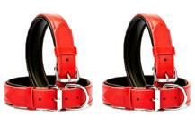 Desingshop Ayarlanabilir Boyun Köpek Tasması 2.5 x 56 cm Kırmızı