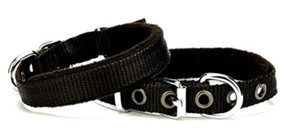 Doggie Ayarlanabilir Boyun Köpek Tasması 1.5 x 20 - 25 cm Siyah