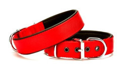 Doggie Comfort Ayarlanabilir Boyun Köpek Tasması 3 x 55 cm Kırmızı