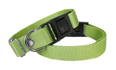 Markapet Ayarlanabilir Köpek Tasması 2 x 30 x 50 cm Yeşil