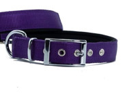 Doggie Elit Ayarlanabilir Boyun Köpek Tasması 2.5 x 37 - 45 cm Mor