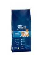 Felicia Somon Büyük Irk-Orta Irk Yetişkin Köpek Maması 3 kg