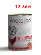 Anatolian Premium Somon Aromalı Soslu Yetişkin Köpek Maması 400 gr 12'li