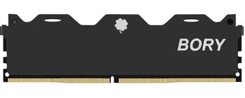 Bory 16 GB DDR4 1x16 3200 MHz Ram