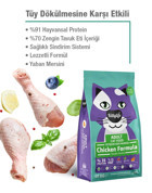 Kittylife Tavuklu Tahılsız Yetişkin Kedi Maması 10 kg