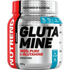 Nutrend Glutamin Aminoasit 300 gr Toz