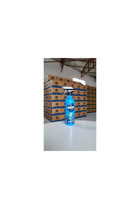 Insectum Sprey Karınca İlacı 500 ml
