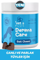 Vet's Plus Derma Care B Vitamini E Vitamini Multivitamini Tüy Dökme Yetişkin Kedi Vitamini Tablet 60 Adet