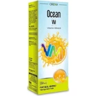 Orzax Vitamin Mineral Portakallı Yetişkin Mineral 150 ml