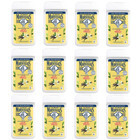 Le Petit Marseillais Vanilya Sütü Nemlendirici Duş Jeli 12x250 ml