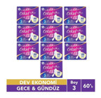Orkid Platinum İnce 6'lı Hijyenik Ped 10 Adet
