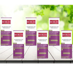 Bioblas Saç Dökülmesine Karşı İnce Telli Düz Saçlar İçin Sülfatsız Keratin Parabensiz Kremsiz Şampuan Unisex Şampuanı 6x360 ml
