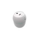 Airstorr Ultrasonik 260 ml Aromaterapi Taşınabilir Şarjlı Mini Soğuk Buhar Makinesi