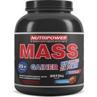 Nutripower Nutrition Çilek Aromalı 25 Servis Kas Yapıcı Gainer 2500 gr Toz
