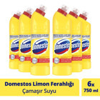 Domestos Kokulu İçin Konsantre Sıvı Çamaşır Suyu 6x750 ml