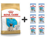 Royal Canin Pug Kümes Hayvanlı Küçük Irk Yavru Köpek Ödül Maması 1.5 kg