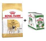 Royal Canin Pug Kümes Hayvanlı Küçük Irk Yetişkin Köpek Ödül Maması 1.5 kg