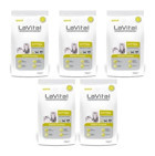 Lavital Nutrition For Lifetime Somonlu Az Tahıllı Yavru Kuru Kedi Maması 5x1.5 kg