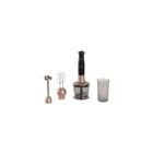 Sunny Melodi 500 ml Plastik Hazneli 4'lü Blender Seti Gold
