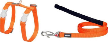 Red Dingo Klasik 12 mm Düz Turuncu Gezdirme Göğüs Kedi Tasması