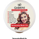 Gabrini Terracotta No:37 Işıltılı Toz Allık