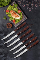 ÖzSa Home Mutfak Bıçak Seti Steak Et Bıçak Restoran Et Kesme Doğrama Meyve Sebze Bıçak Şık Ahşap Saplı