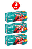 Smarter Orta Buz Dolabı Poşeti 3x100 Adet