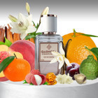 Qarnoza By Qarnoza EDP Ferah-Portakal Erkek Parfüm 50 ml