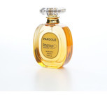 Pardole Amorous Attractive Niche Baharatlı-Oryantal Erkek Parfüm 55 ml