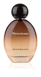 David Walker Feminen Colourful Erkek Parfüm 100 ml