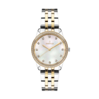 Essence ES6757FE.220 35 mm Altın-Gri Çelik Kordon Analog Kadın Kol Saati