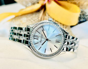 Ferrucci FC.14116M.01 33 mm Gri Çelik Kordon Analog Kadın Kol Saati