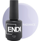 Endi Professional Inox Serisi Radiance Gri Parlak Kalıcı Oje