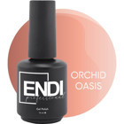 Endi Professional Orchid Bouquet Serisi Orchid Oasis Pembe Parlak Kalıcı Oje